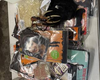 halloween costumes / decor