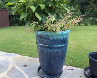 Large Planter