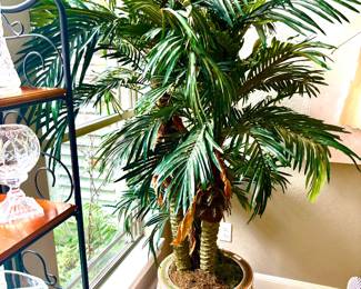 Silk trees