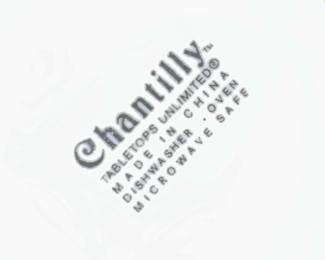 Tabletops Unlimited Chantilly Pattern Dinnerware