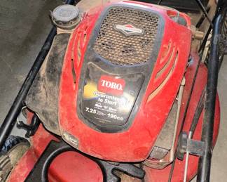 Toro Recycler Mow 'N' Stow Lawn Mower