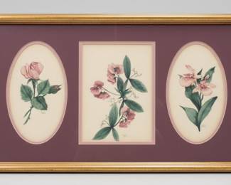 Fern Hoflin Botanical Floral Prints