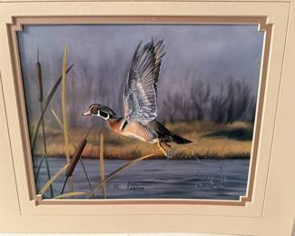 Duck Art