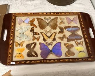 Butterfly Tray