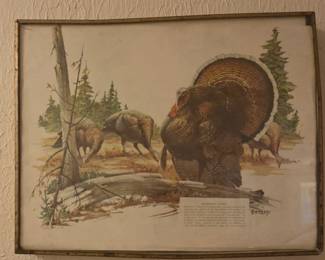 Turkey Picture
