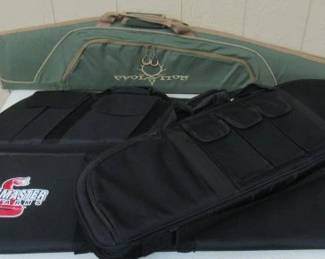 Gun Cases