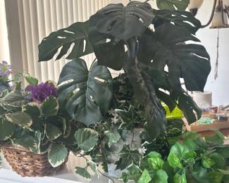 silk plants