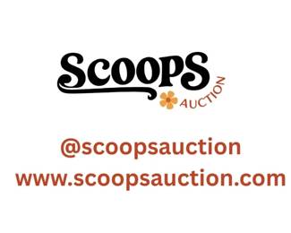 Scoops EstateSalesNet Cover