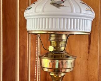 Aladdin Duck Lamp
