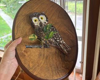 Sweet Owl on board
