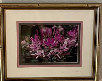 Signed Carolyn R. Redding Floral Photography