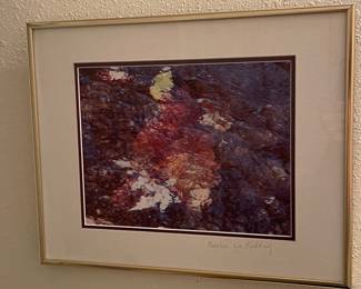 Carolyn Lee Redding Signed Abstract Photograph