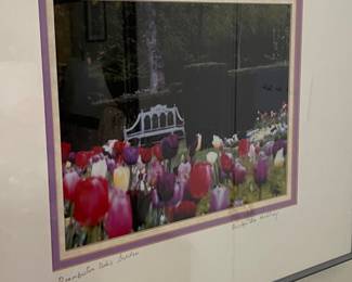 Carolyn de Redding Dumbarton Oaks Garden Photograph