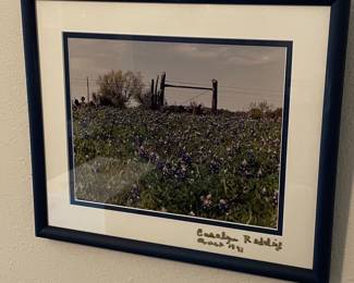 Carolyn Redding Signed Bluebonnet Landscape Photograph