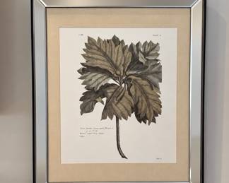 Botanical print with mirrored frame