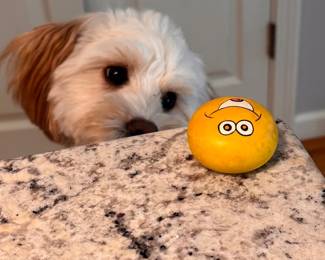 Surprise! You never know what surprising item YOU'LL find at an All-Star Estate Sale. (Dog not for sale)