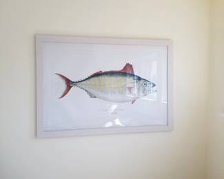Fish graphic