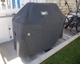 Weber grill