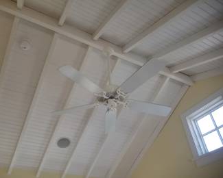 Ceiling fan