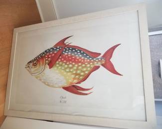 Fish graphic