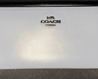 Authentic pale blue Coach slim accordion ziparound wallet