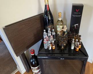 Wine Fridge 
