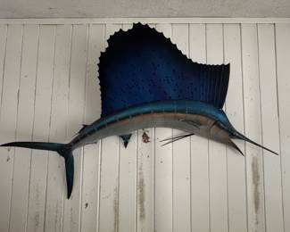 Sailfish