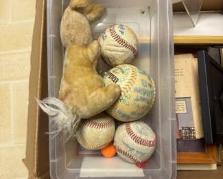 Baseballs signed