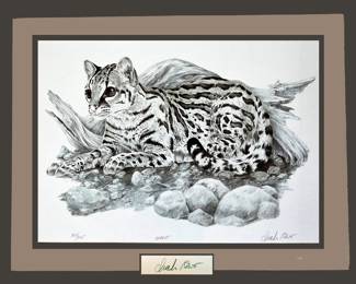 Framed, Signed and Numbered Ocelot Print