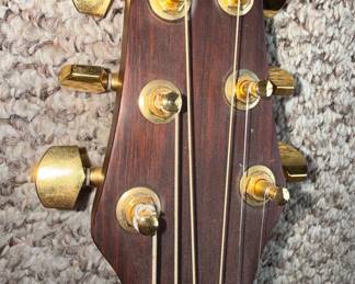 Ovation Style Acoustic-Electric Guitar with ChromaCast Case