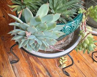 Ceramic Planter with Succulent Assortment