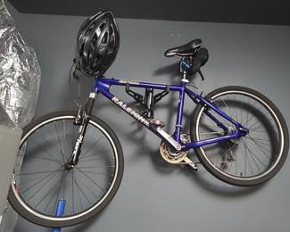 Raleigh M20 Mountain Bike