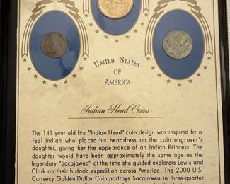 United States Indian Head Coin Collector Set in Binder