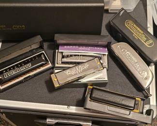 some of the harmonicas 