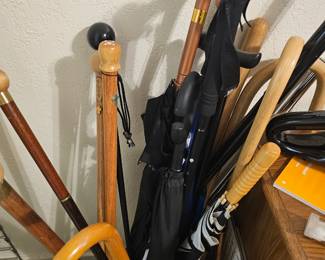 walking stick