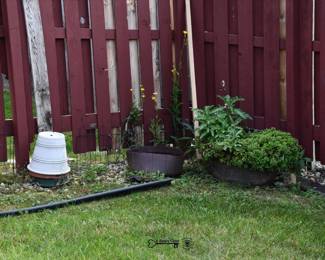 932Back Yard