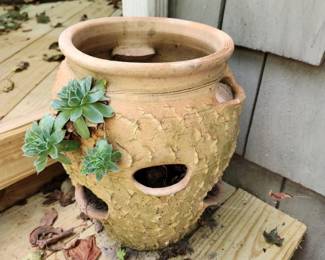HEN N CHICK PLANTER