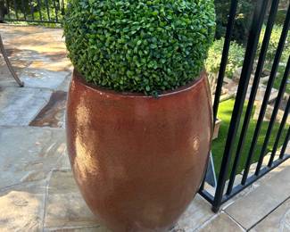 Flower Pots