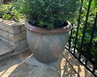 Flower Pots