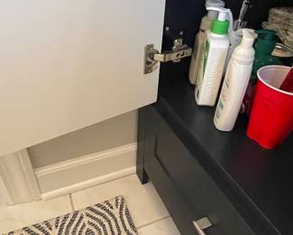 Bathroom Vanity Sink Kohler Faucet $350