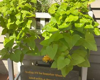 wooden planter