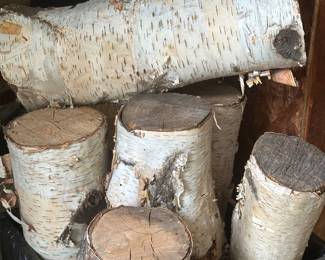 Birch wood
