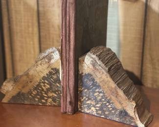 pair of natural petrified wood bookends