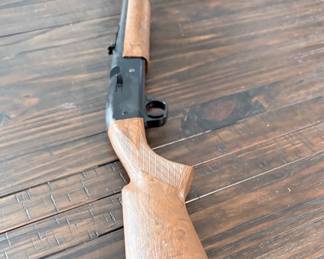 Daisy 177 cal bb rifle.