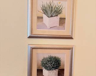 Framed prints