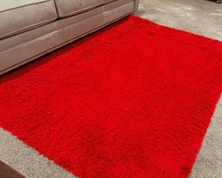 Red Area Shag Rug
