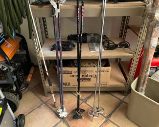 Ski poles