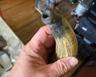 powder horn