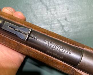 Remington .22 Rifle