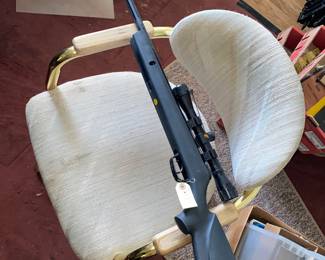 Gamo pellet gun with scope